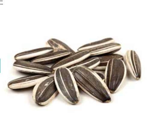 Meray Sunflower Seeds, Dakota, Roasted and unsalted