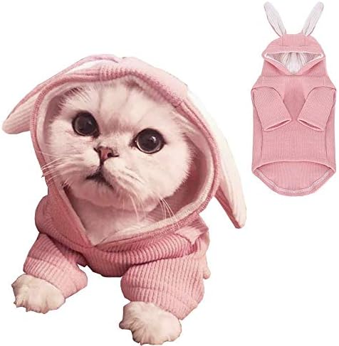 ANIAC Dog Hoodies Sweatshirt with Bunny Ears Spring Puppy Clothes for Small Dog Girl Boy Soft Doggy Sweater Cat Apparel Pet Clothing for Kitten