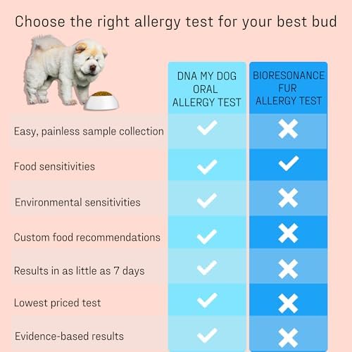 Vet-Recommended and Most Accurate Allergy Test for Itchy