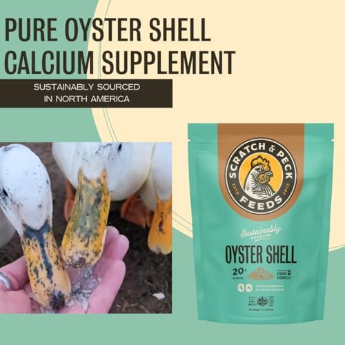 Scratch and Peck Feeds | Oyster Shell Chickens & Ducks | 4 lb Pouch | Essential Calcium Supplement for Eggshell Strength and Hen Health, All Natural, Sustainably Sourced