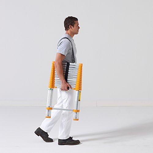 Xtend & Climb 770P Telescopic Ladder (12.5 FT - 225 LBS) | Home Series