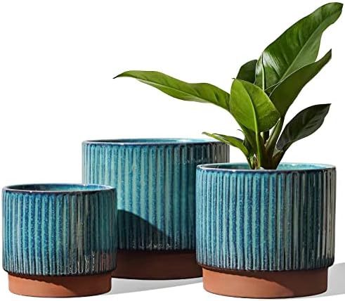 LE TAUCI Ceramic Plant Pots with Drainage Holes, Set of 3, 8+6.7+5.5 Inch Stripe Garden Planter Pots for Outdoor Indoor Plants Flower