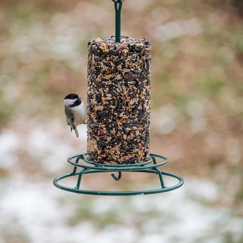 EZ Feeder | Seed Cylinder Holder for Large and Small Cylinders | Bird Feeder | Backyard Birdfeeding | Wild Bird Food