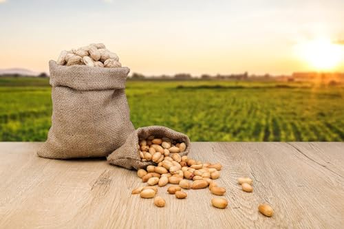 Fruidles Raw Peanuts, 2 Pound Bag Raw Peanuts in Shell, Great for Boiling, Squirrels Feed, Birds Feed and Wildlife
