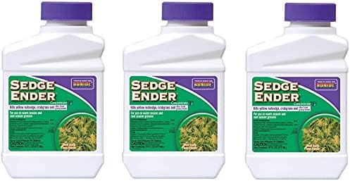 Sedge Ender Concentrate3