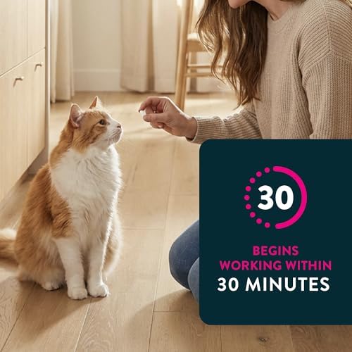 Capstar (nitenpyram) Cat Flea Treatment, Fast-Acting Oral Flea Treatment for Cats 2-25 lbs