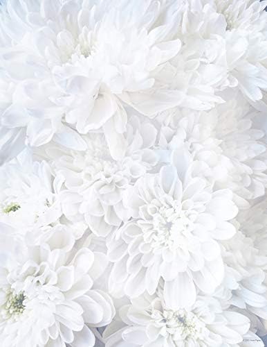 Great Papers! White Soft Petals Letterhead Stationery, 8.5" x 11", 80 count, Inkjet and Laser Printer Compatible (2020144)