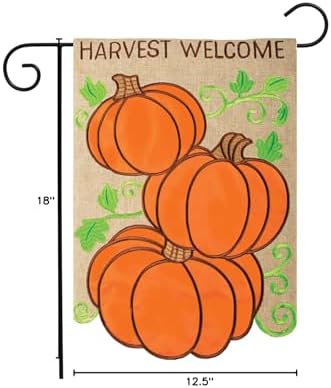 Carson Home Accents 55409 Double Applique Garden Outdoor Flag, Multicolor