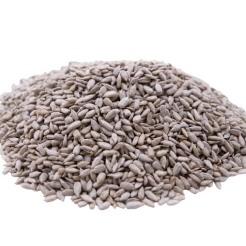 Lightly Sea Salted Sunflower Seed in Shell by Gerbs - 2 LBS - Top 11 Food Allergen Free & Non GMO - Premium Dry Roasted Seeds – COG USA | Small Batch, No Artificial Additives, Resealable Bag | Crack-and-Eat Crunchy Snack | Top 14 Allergen-Free