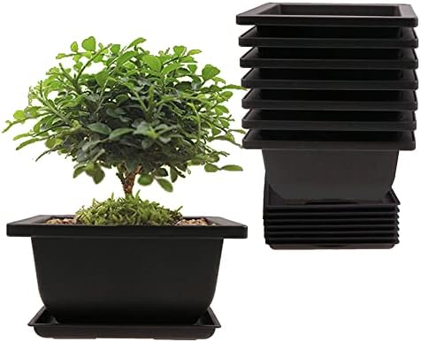 MUZHI 6PCS/Pack Retro Style Basin Plastic Flower Pot 6.5 Inch Flower Bonsai Tree Plant Bowl Nursery Pots Maceta Cuadrada Simulational Purple Sands Pots with Tray Rectangle Small