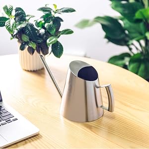 Watering Can