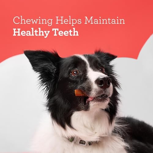 DreamBone RattleBall Chew Rawhide-Free Dog Treats, Real Protein, 14 Count | Daily Chew, Digests Safely and Completely