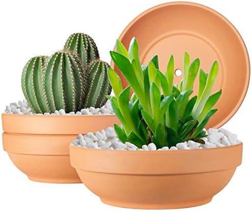 Laerjin Terracotta Pots, 6.43 Inch Shallow Pots with Drainage Hole, 6 Pack