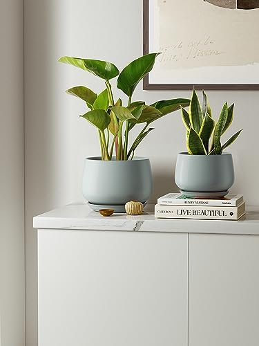 LE TAUCI Plant Pots, 4.1+5.1+6.5 inch, Set of 3, Ceramic Planters with Drainage Hole and Saucer, Indoor Flower Pot with Hole Mesh Pad, Gifts for Mom
