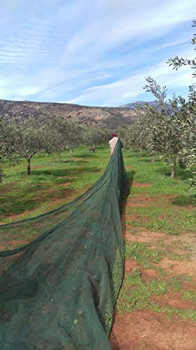 VILLAGE BATCH - AWARD WINNERS - KORONEIKI OLIVE OIL Greek Olive Oil ORGANIC COLD PRESSED OLIVE OIL Extra Virgin Olive Oil High In Polyphenols