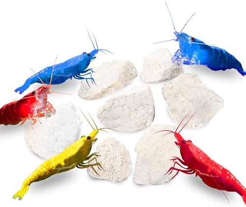 JOR Water Conditioner Calcium Rocks for Baby Shrimps, Isopods, and Crayfish, Enhances Pet Color, Provides Hideout, Breeding Spot
