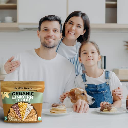 Organic Einkorn Farro Grain 4.8 lb - Einkorn Wheat Berries Bulk Whole | Ancient Grains Ideal for Soup, Flour, Bread - High in Fiber - USA Grown | USDA Certified | Vegan | Non-GMO