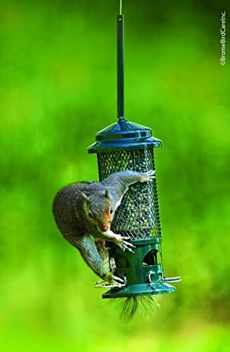 Squirrel Buster Standard Squirrel-proof Bird Feeder w/4 Metal Perches, 1.3-pound Seed Capacity, garden green | Four metal perches