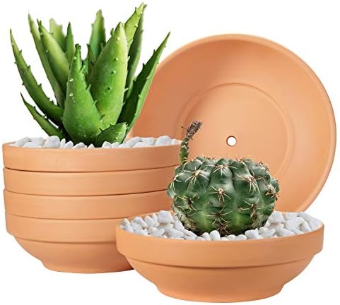 Laerjin Terracotta Pots, 6.43 Inch Shallow Pots with Drainage Hole, 6 Pack