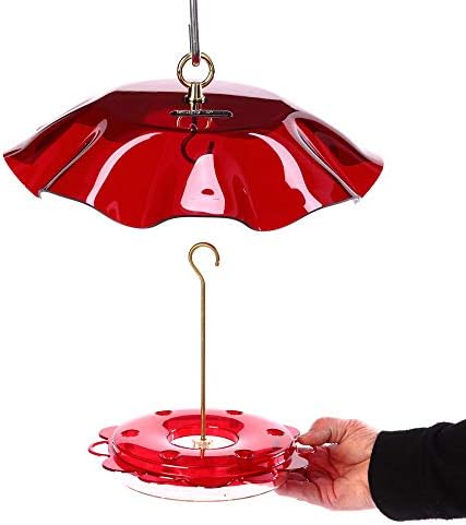 Birds Choice Hummerfest Hummingbird Feeder with Weatherguard | 12oz, Red | Built-In Ant Moat Protects Nectar, Rain Cover Keeps Feed Fresh, Easy to Fill and Clean