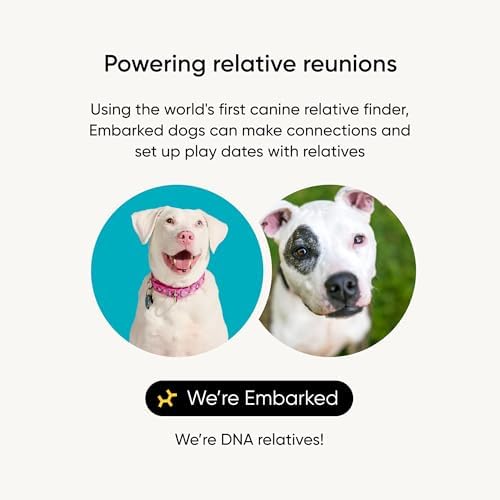 Embark Breed ID Dog DNA Test Kit – 400+ Breeds, 99% Breed Accuracy | Dog DNA testing kit for mixed breeds. Ancestry to great-grandparents