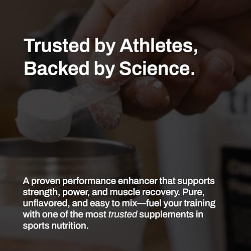 True Nutrition Creatine Monohydrate Powder, 500g | Micronized Creatine, 2g per Serving, Supports Muscle Strength, Power & Recovery, Non-GMO