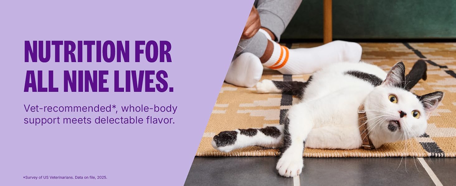 Nutrition For All Nine Lives