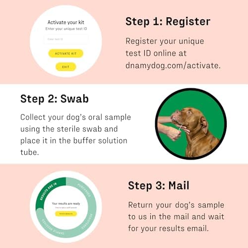 Vet-Recommended and Most Accurate Allergy Test for Itchy
