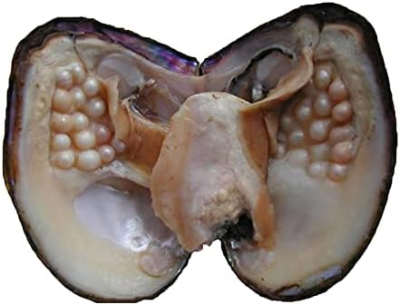 Oyster Pearls, Monster Oysters with Pearls Inside 5-8mm 25 PCs Cultured Freshwater Pearl Pearl an Oysters Home Decoration Jewelry Making