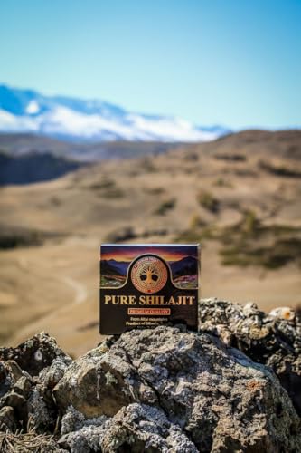 Pure Authentic Shilajit Siberian Mumijo Resin, 100 grams, 3.5 OZ