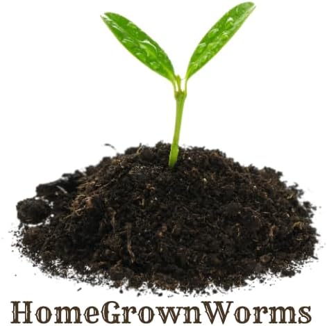 1000+ (1LB) Red Wigglers Live Worms for Composting Bins and Garden - Live Delivery! - Composting Earthworms - Great for Worm Castings, Pet Food