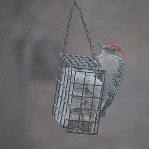 C&S CS12553 11.75 Oz Hot Pepper Delight Wild Bird No Melt Suet Dough