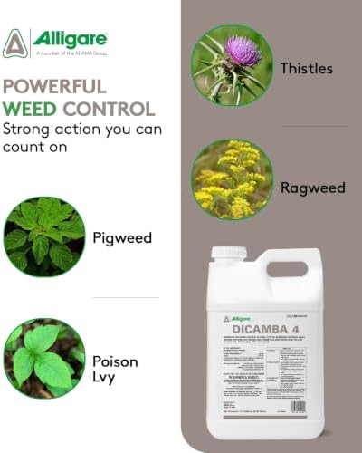 Alligare Dicamba 4 for Corn, Soybean, Cotton, Sugarcane, Turf & More - Powerful Weed Control - Water-Soluble Dicamba Herbicide
