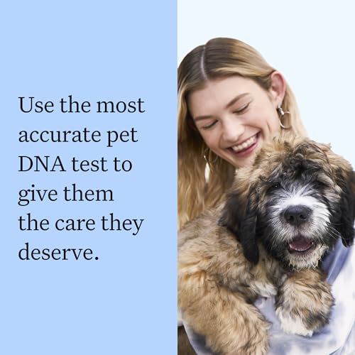 Wisdom Panel Breed Discovery Dog DNA Testing Kit - Most Accurate Dog Breed Identification - Test for 430+ Breeds, MDR1 Health Test, Ancestry