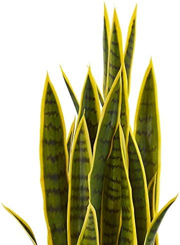 Nearly Natural 33” Sansevieria Artificial Silk Plants Green | 35 Variegated Leaves, Handcrafted Materials, Black Decorative Planter