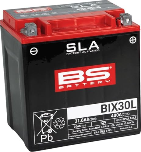 Batería BS Battery SLA BIX30L (FA)