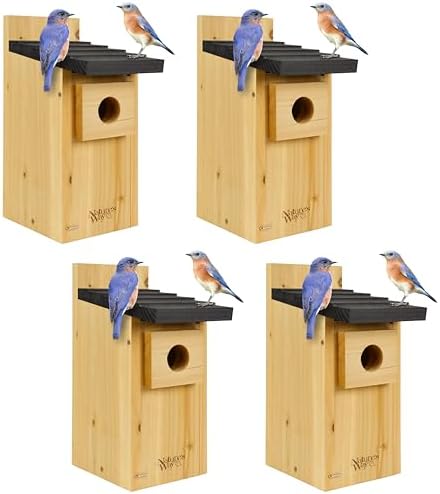 Wild Wings WWCH3 Cedar Blue Bird Box House