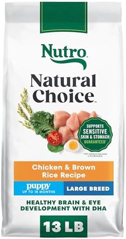 Nutro Natural Choice Large Breed Puppy Dry Dog Food, Chicken, 30 lb | Real chicken #1 ingredient, non-GMO, no corn, wheat, soy, supports brain & eye development, bones, muscles & joints