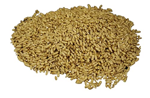 Wheatland Oat Groats • 20 Pound Bucket with Mylar lining • USA Grown • Non-GMO • Lab Tested • Sproutable • Whole Grain • Emergency