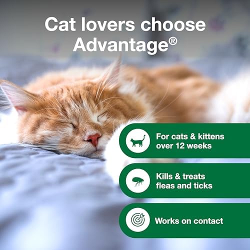 Advantage Cat Flea & Tick Shampoo for Kittens & Adult Cats | Kills Fleas & Ticks | 8 oz.