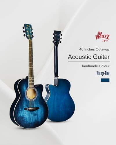 Winzz 40 Inches Acoustic Steel-string Guitar Beginner, Elegant Unique Color Design (Blue-green)