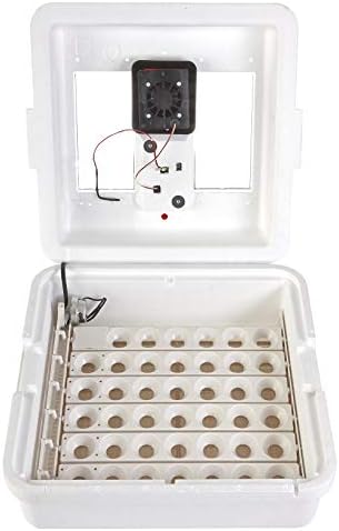 Little Giant White Miller Manufacturing Company 9300 Digital Still Air Incubator