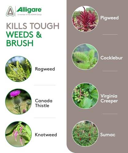 ALLIGARE 2,4-D Amine Weed Killer Concentrate - Post-Emergent Herbicide to Control Pigweed, Thistle, Ragweed, & More - 47.2% Active Ingredient - for Lawns, Pastures, Aquatic Sites & Crops - 2.5 Gallon