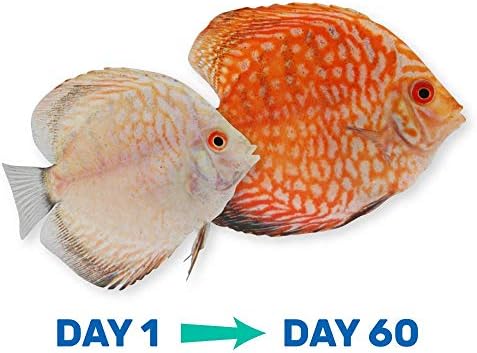 Hikari HK22206 1.23 oz Vibra Bites Tropical Fish Food