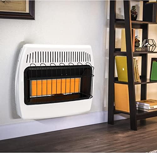 30,000 BTU Natural Gas/Propane Wall Heater for Indoor Use - Dual Fuel, Vent-Free
