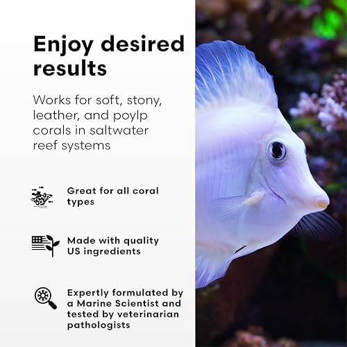 Brightwell Aquatics MediCoral - Coral Dip for New Coral Additions and to Benefit Established Corals , 30-ml