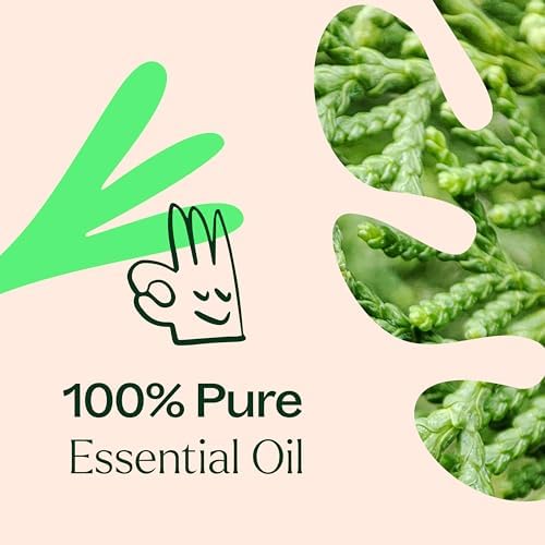Plant Therapy Deodorizing Essential Oil Blend 10 mL Ideal for Cleaning | Pure Essential Oils, Undiluted, Ideal for Household Cleaning & Deodorizing