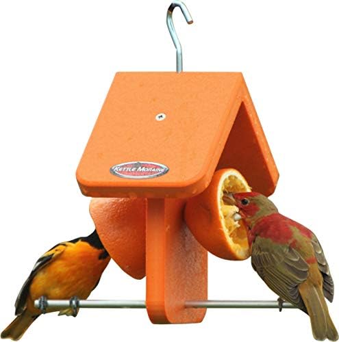 Recycled Single Oriole Orange Fruit Feeder