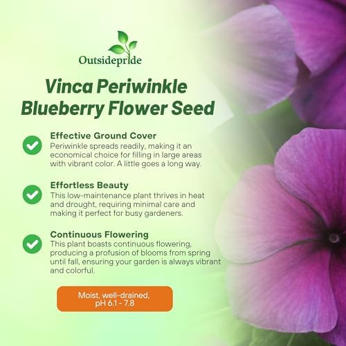 Outsidepride Blueberry Periwinkle Seeds for Planting – 50 Pcs Annual, Fast-Blooming