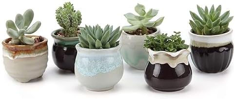 T4U Mini Succulent Ceramic Pots for Gifts, Small Planters for Decor 6 Pack | Planters with Drainage, for live cactus plants, bonsai tree starter pots, indoor windowsill decor, office desk accents